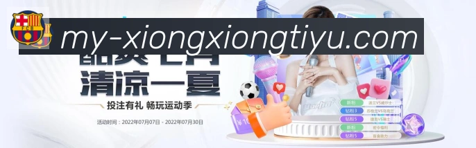 未来规划